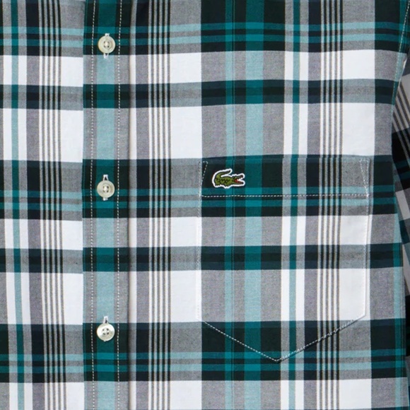 🌞⭐️Wide Green/White Check button-up Shirt - Picture 3 of 3